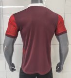 Portugal Special Edition Red Fans 1:1 Quality Soccer Jersey 25/26