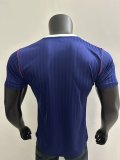 Arsenal Special Edition Player 1:1 Quality Soccer Jersey 24/25