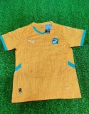 Cote d'Ivoire Home  3-Stars  Fans 1:1 Quality Soccer Jersey 24/25