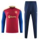 Barcelona Red Blue Version 1:1 Quality Training Jersey 24/25