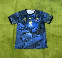 Brazil  Special Edition  Fans 1:1 Quality Soccer Jersey 25/26