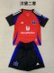 Hamburger Third  Kids Kits  1:1 Quality Soccer Jersey 24/25