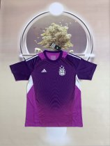 Argentina Goalkeeper Purple Fans 1:1 Quality Soccer Jersey 25/26