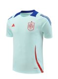 Spain  Blue 1:1 Quality Training Jersey（A-Set） 24/25