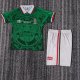 Mexico Home Kids Retro 1:1 Quality Soccer Jersey 1998