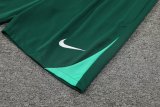 24/25  Portugal  White And Green  1:1 Quality Training （A-Set）