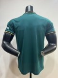 Liverpool  Special Edition Fans 1:1 Quality Soccer Jersey 25/26