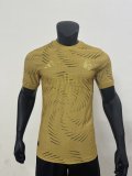 Real Madrid  Special Edition Gold Player 1:1 Quality Soccer Jersey 24/25