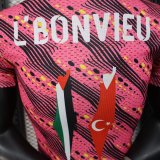 Palestine Special Edition Player 1:1 Quality Soccer Jersey 25/26