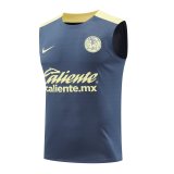 24/25 Club America Grey 1:1  Quality Training Vest（A-Set）