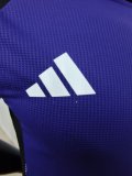 Germany  Training  Clothing  Purple  Player 1:1 Quality Soccer Jersey 24/25