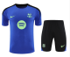 Barcelona Blue 1:1 Quality Training Jersey（A-Set）25/26