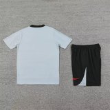 Korea Grey 1:1 Quality Training  Jersey（A-Set）24/25