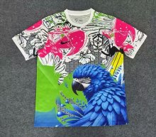 Brazil  Special Edition Fans 1:1 Quality Soccer Jersey 25/26