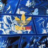 Japan Double Sided  Windbreaker 24/25