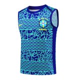 24/25 Brazil Blue 1:1 Quality Training Vest （A-Set）