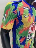 Brazil  Special Edition Fans 1:1 Quality Soccer Jersey 25/26
