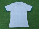 24/25 Kabylie  Away Green Player 1:1 Quality Soccer Jersey