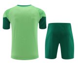 Palmeiras Green 1:1 Quality Training Jersey（A-Set）24/25
