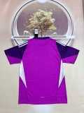 Los Angeles Goalkeeper Purple Fans 1:1 Quality Soccer Jersey 25/26