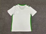 Saint Etienne  Away Fans 1:1 Quality Soccer Jersey 24/25