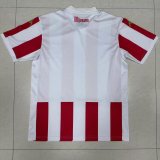Monaco Special Edition  Fans 1:1 Quality Soccer Jersey 24/25