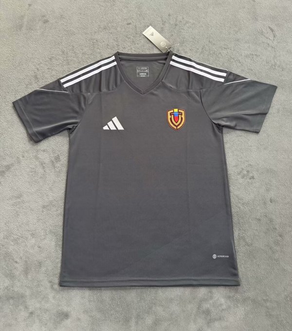 Venezuela Grey Fans 1:1 Quality Soccer Jersey 25/26