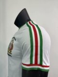 Mexico  t-shirt White Fans 1:1 Quality Soccer Jersey 2005