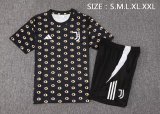 24/25 Juventus  Black 1:1 Quality Training Jersey（A-Set）