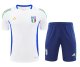 Italy Training Suit White 1:1 Quality Training Jersey 24/25