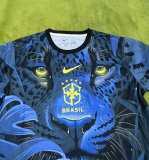 Brazil  Special Edition  Fans 1:1 Quality Soccer Jersey 25/26
