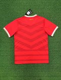 Panama Limited Edition Red Fans 1:1 Quality Soccer Jersey 24/25