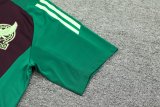 24/25    Mexico  Wine Red  And Green  1:1 Quality Training Jersey（A-Set）