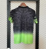 25/26 Liverpool  Black Green Fans 1:1 Quality Soccer Jersey
