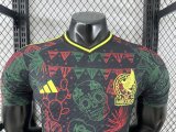 Mexico Special Edition  Player 1:1 Quality Soccer Jersey 25/26