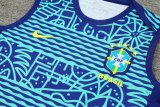 24/25 Brazil Blue 1:1 Quality Training Vest （A-Set）