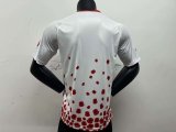 Sunderland Special Edition Fans 1:1 Quality  Soccer Jersey 24/25
