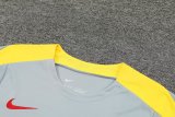 Liverpool Dark Gray  1:1 Quality Training Jersey（A-Set）24/25