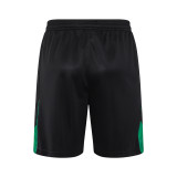 Nigeria  Quality Training   1:1 Quality Training Jersey（A-Set）24/25