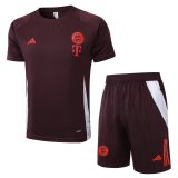 Bayern Munich  1:1 Quality Training Jersey（A-Set）25/26