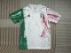 Italy Special Edition White Fans 1:1 Quality Soccer Jersey 23/24