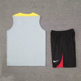 Liverpool  Dark  Gray  1:1 Quality Training Vest（A-Set）24/25