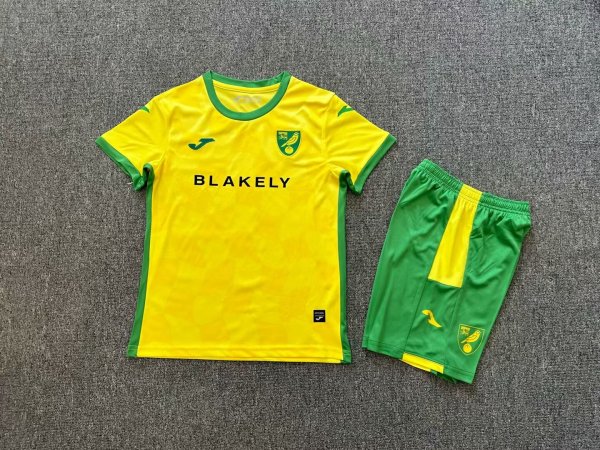 Norwich City Third Kids Kits 1:1 Quality Soccer Jersey 24/25