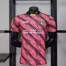 Palestine Special Edition Player 1:1 Quality Soccer Jersey 25/26