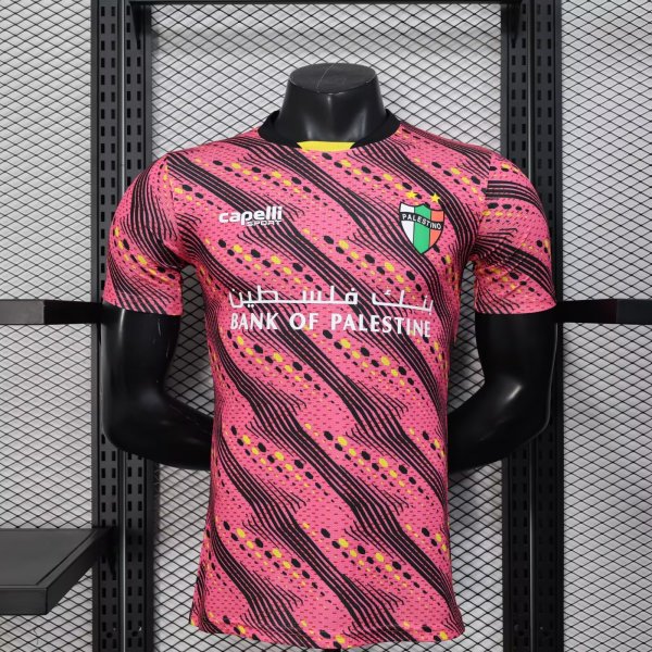 Palestine Special Edition Player 1:1 Quality Soccer Jersey 25/26