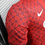 PSG Paris Special Edition  Player 1:1 Quality Soccer Jersey 25/26（带星星）