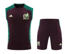 24/25     Mexico  Wine Red And Green  1:1 Quality Training Vest（A-Set）
