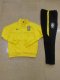 Brazil Yellow Jacket Tracksuit 1:1 Quality 24/25