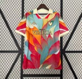 Venezia FC Special Edition Fans 1:1 Quality Soccer Jersey 24/25