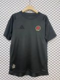 Aston Villa Special Edition Fans  1:1 Quality Soccer Jersey 24/25